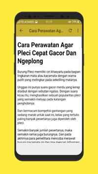 Kicau Pleci Masteran Endok Tato Mp3 Apk App Free Download For