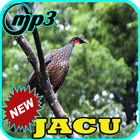 O Canto do Jacu Completo Mp3 biểu tượng