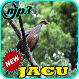 O Canto do Jacu Completo Mp3 biểu tượng