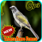 Marcheado de Trinca Ferro Femea Mp3 icon