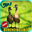 Suara Burung Belibis Jos Mp3