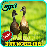 Suara Burung Belibis Jos Mp3 biểu tượng