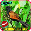 Suara Burung Bubut Gacor Mp3