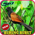 Suara Burung Bubut Gacor Mp3 icône