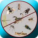 Insect Killer Prank APK