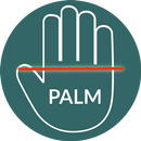 Palm Reader-APK