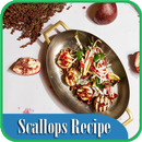 Scallops Recipe APK