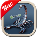 Papel de Parede Scorpion HD APK