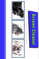 Screen Cleaner Affiche