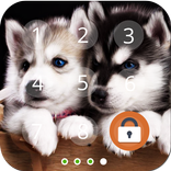 Husky Puppy  Screen Lock