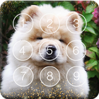 Cute Puppies Chow Chow Dog Screen Lock icône