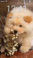 Cute Puppies Chow Chow Dog Screen Lock पोस्टर