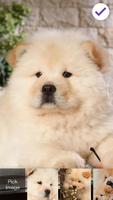 Cute Puppies Chow Chow Dog Screen Lock capture d'écran 2