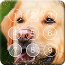 Golden Labrador Retriever Dog Puppies Screen Lock APK