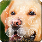 ikon Golden Labrador Retriever Dog Puppies Screen Lock