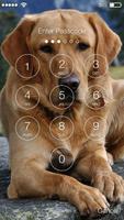 Golden Labrador Retriever Dog Puppies Screen Lock imagem de tela 1