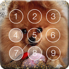 Pomeranian Spitz Cute Dog Screen Lock ikon