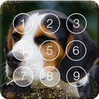 Smart Cute Little Beagle Dog Screen Lock biểu tượng