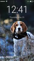 Smart Cute Little Beagle Dog Screen Lock ポスター