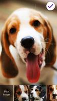 Smart Cute Little Beagle Dog Screen Lock screenshot 2