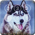 Smart Nice Siberian Husky Screen Lock-icoon