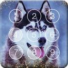 Smart Nice Siberian Husky Screen Lock ไอคอน