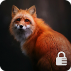 Cute Fox Lock Screen Security 아이콘