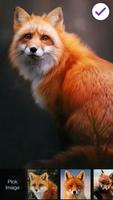 Cute Fox Lock Screen Security screenshot 2