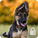 German Shepherd Puppy Lock Screen Security APK