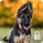 German Shepherd Puppy Lock Screen Security icône