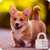 Cute Corgi Dog PIN Lock ScreenSecurity APK