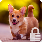 Cute Corgi Dog PIN Lock ScreenSecurity icône