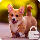 Cute Corgi Dog PIN Lock ScreenSecurity icono