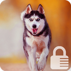 Husky HD Free PIN Lock Security icône