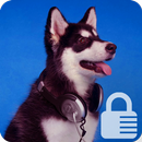 Siberian Husky Puppy Wallpaper App Lock Security APK