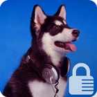 Siberian Husky Puppy Wallpaper App Lock Security icône