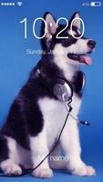 Siberian Husky Puppy Wallpaper App Lock Security Affiche