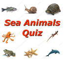 Sea Animals Name Quiz APK