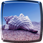 Sea Live Wallpaper icon