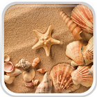 Sea Shell Live Wallpaper আইকন