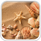 Sea Shell Live Wallpaper আইকন