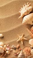 Sea Shell Live Wallpaper screenshot 1