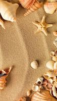 Sea Shell Live Wallpaper screenshot 3