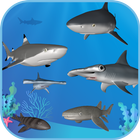 Sharks AR SeaWorld Ancol आइकन