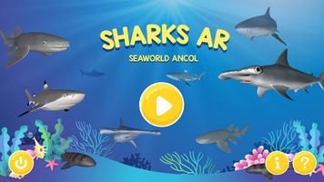 Sharks AR SeaWorld Ancol पोस्टर