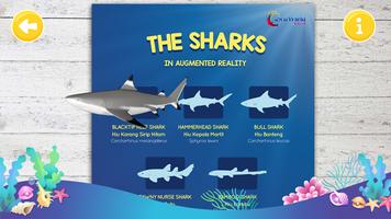 Sharks AR SeaWorld Ancol اسکرین شاٹ 1