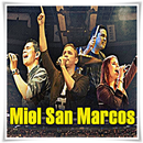 Miel San Marcos Musica APK