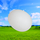 Egg Breaking APK