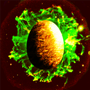 Dragon Eggs APK