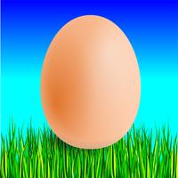 Egg Affiche